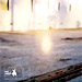 ERR14 | Ephemeral Rhizome