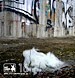 ERR16 | Istanbul improv sessions may 4th