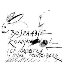 ICP 029 | Bospaadje Konijnehol 2